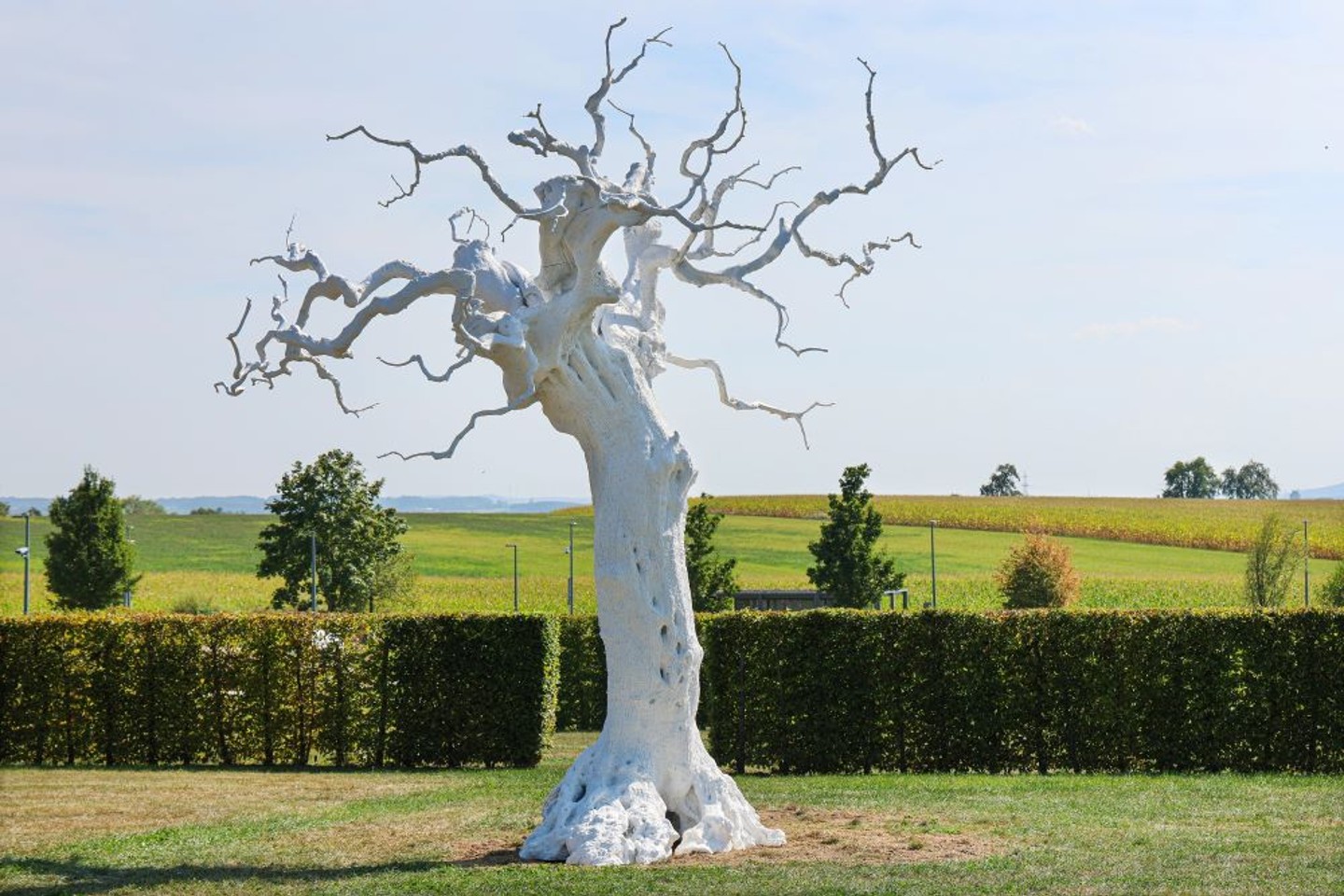 Aktuelle Ausstellung Belvedere und Skulpturengarten: Ugo Rondinone - solar spirit